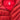 CHALECO NMD THERMO LIGHT WAVE ROJO-